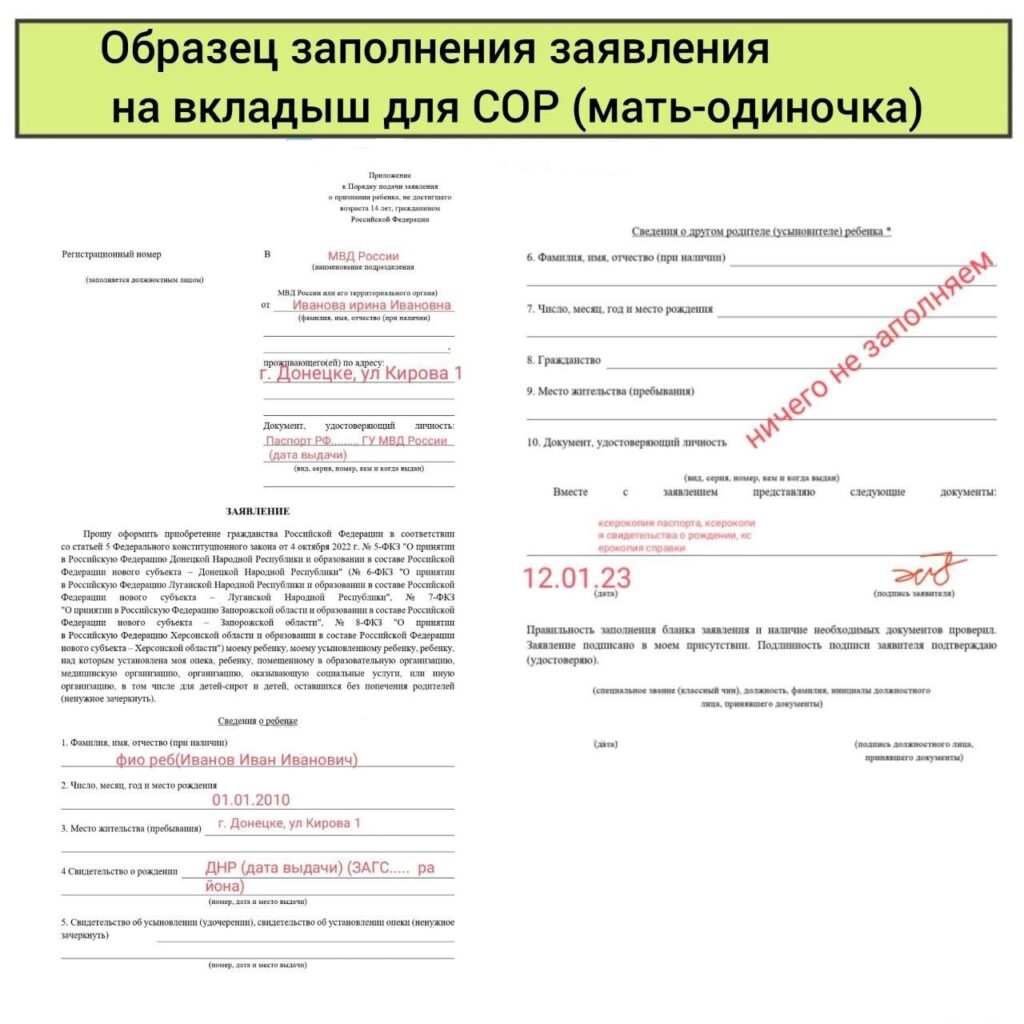 Образец заполнения заявления на вкладыш к СОР