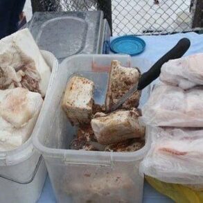 Мариупольцы продолжают заболевать острыми кишечными заболеваниями
