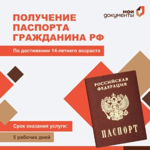 Как через МФЦ в ДНР получить паспорт ребенку в 14 летнего возраста