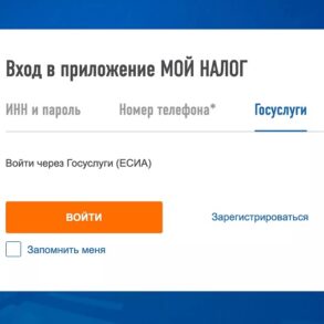Как зарегистрировать самозанятость через Госуслуги